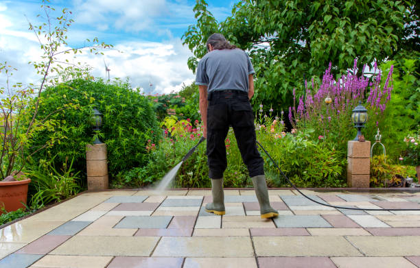 Best Pool Deck Cleaning  in Brillion, WI